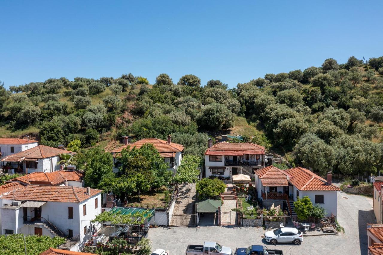 Thodoros Apartment Sykia Dış mekan fotoğraf